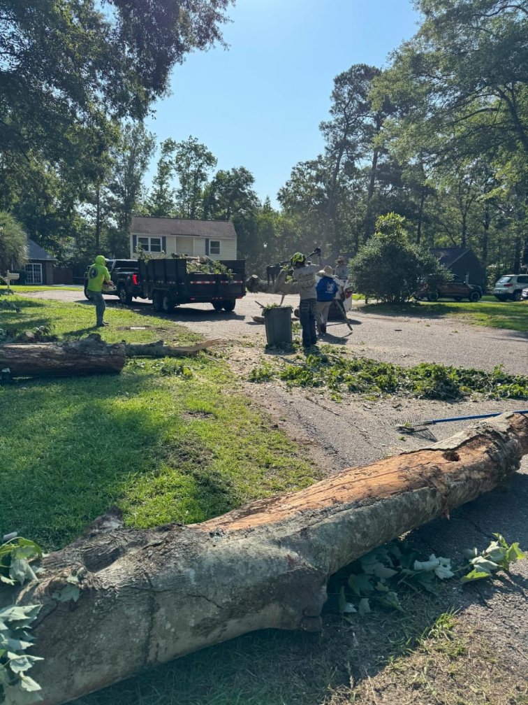 Lion Tree Service and Landscaping LLC project photo 41